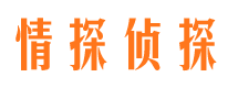 登封找人公司